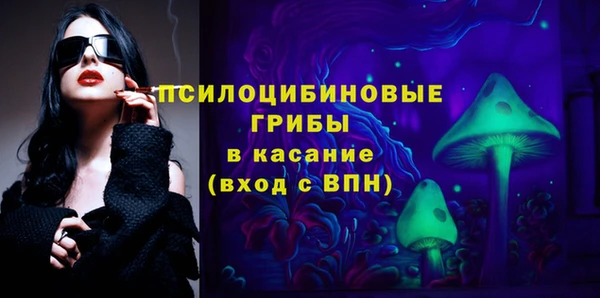 сатива Пересвет