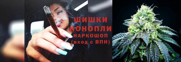 стаф Осинники
