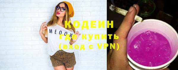 стаф Осинники