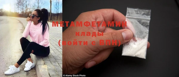стаф Осинники