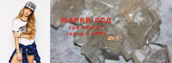 стаф Осинники