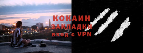стаф Осинники