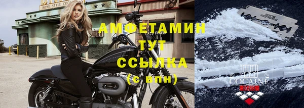стаф Осинники