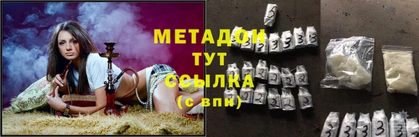 стаф Осинники