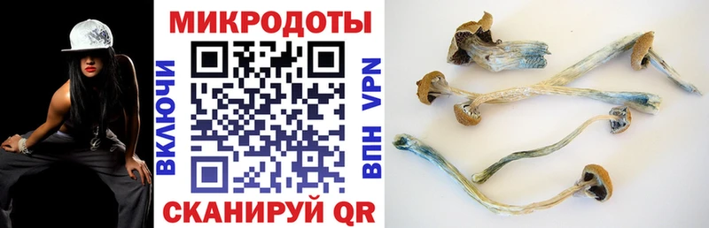 Галлюциногенные грибы Magic Shrooms  мега как зайти  Кировград  где купить наркотик 